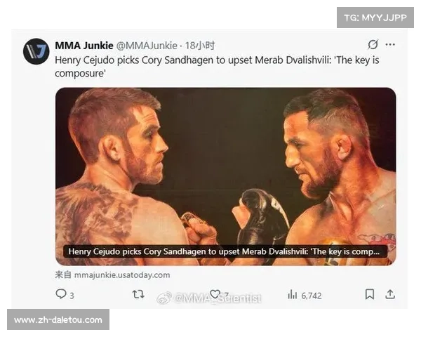 亨利·塞胡多认为隆达·罗西有回归UFC可能